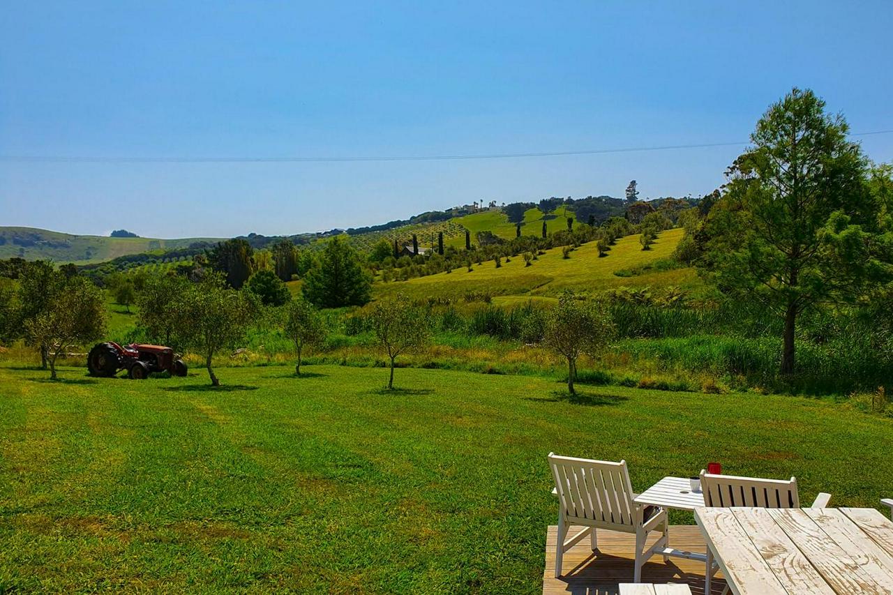 Ilha Waiheke - A comida e vinho gourmet - Photo 3