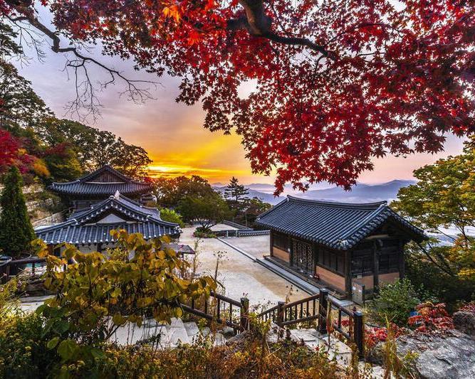 Excursão de dia inteiro aos destaques de Seul: Gyeongbokgung, Torre N' Seul e Vila Namsangol - Photo 4