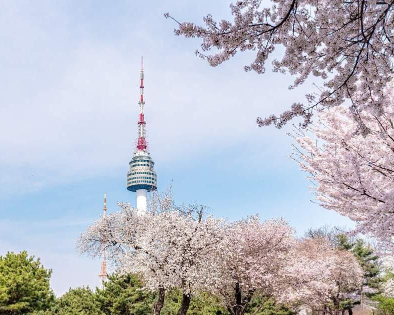 Excursão de dia inteiro aos destaques de Seul: Gyeongbokgung, Torre N' Seul e Vila Namsangol - Photo 5