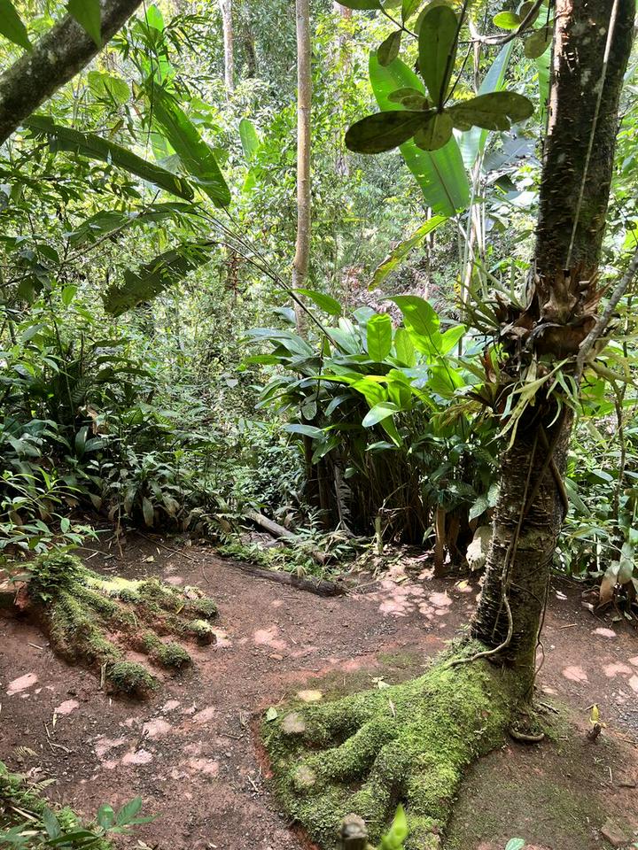 Tour Image 3
