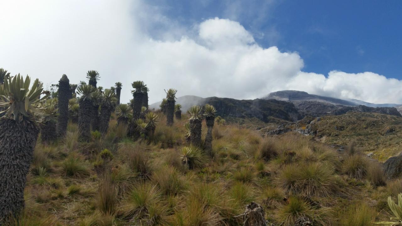 Tour Image 3