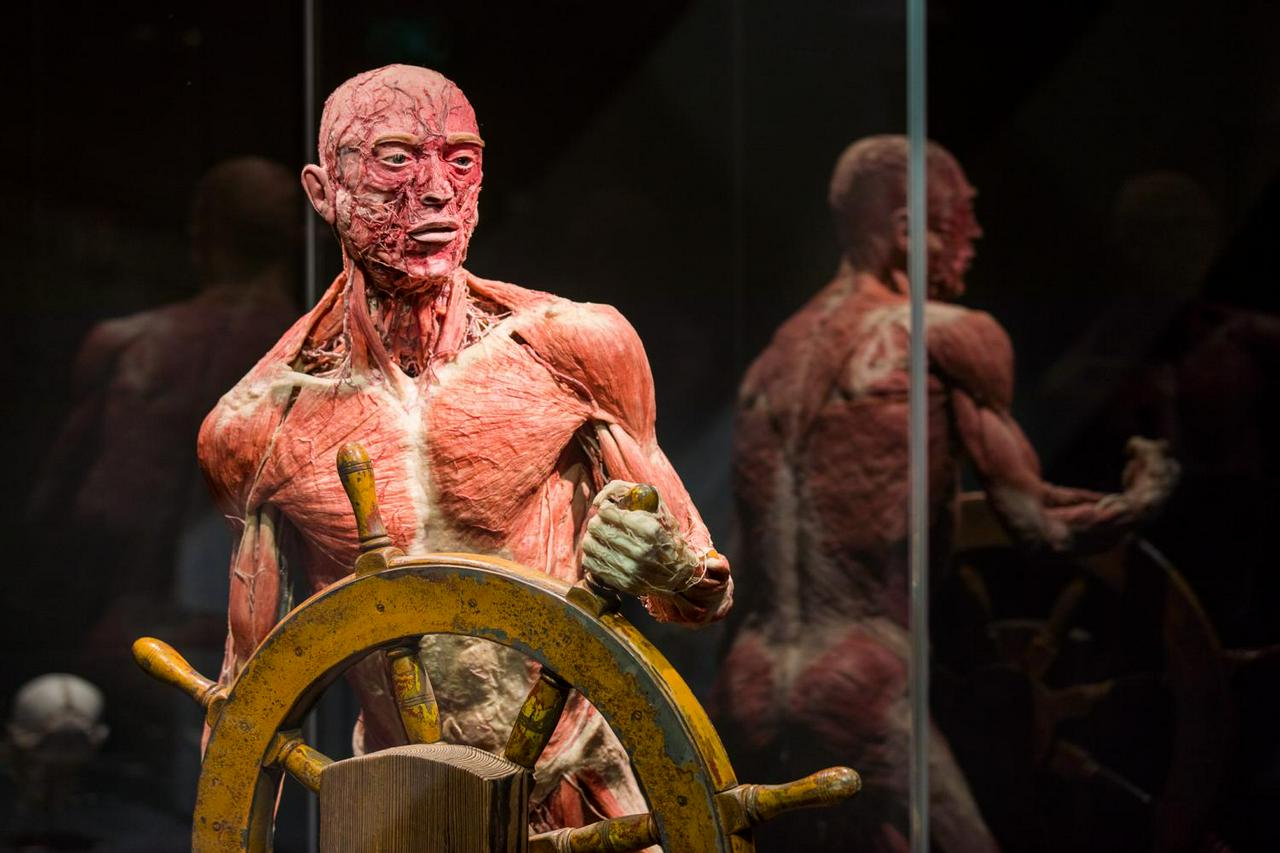 Body Worlds The Happiness Project and 1-Hour Canal Cruise - Photo 2