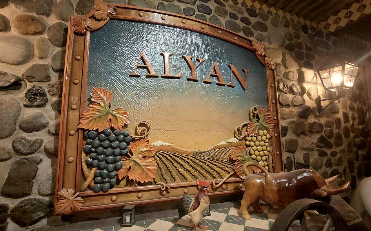 Alyan Sunset Vineyard inclui transferes - Photo 7