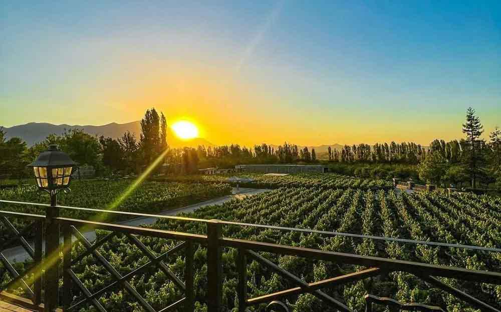 Alyan Sunset Vineyard inclui transferes - Photo 10