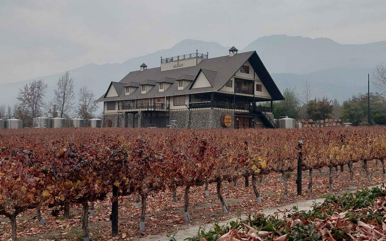 Alyan Sunset Vineyard inclui transferes - Photo 21