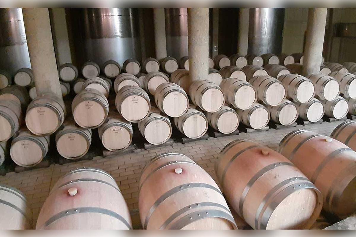Haras de Pirque Vineyard with transfers - Photo 5