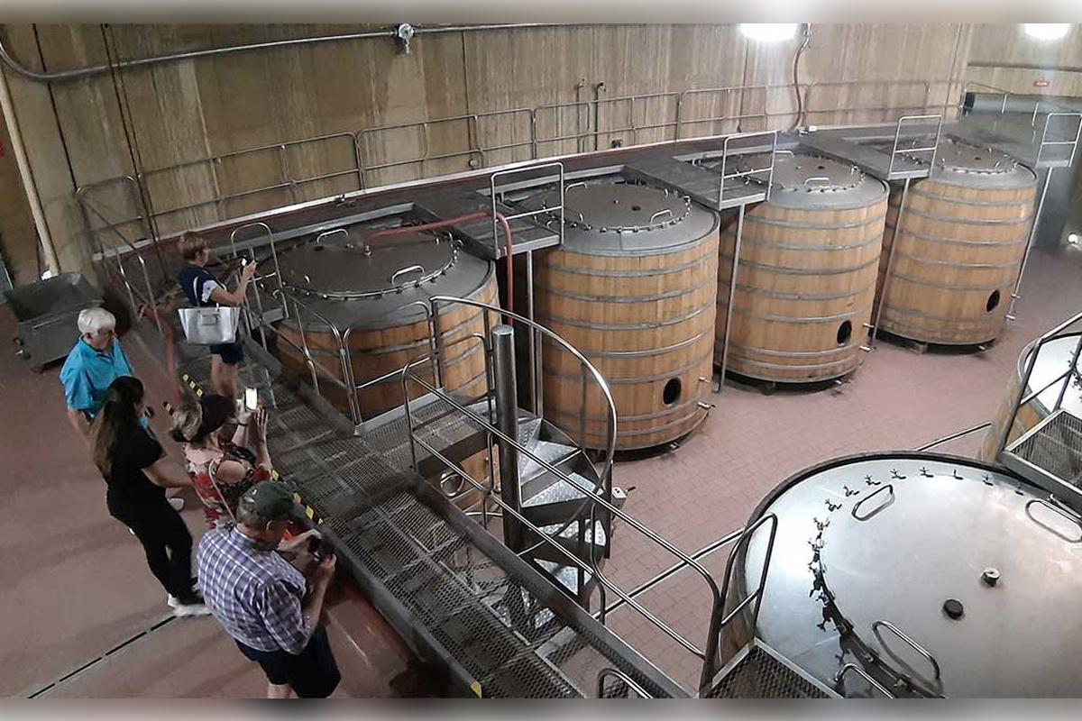 Haras de Pirque Vineyard with transfers - Photo 6