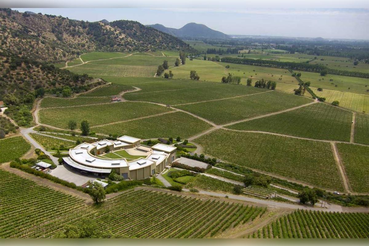 Haras de Pirque Vineyard with transfers - Photo 7