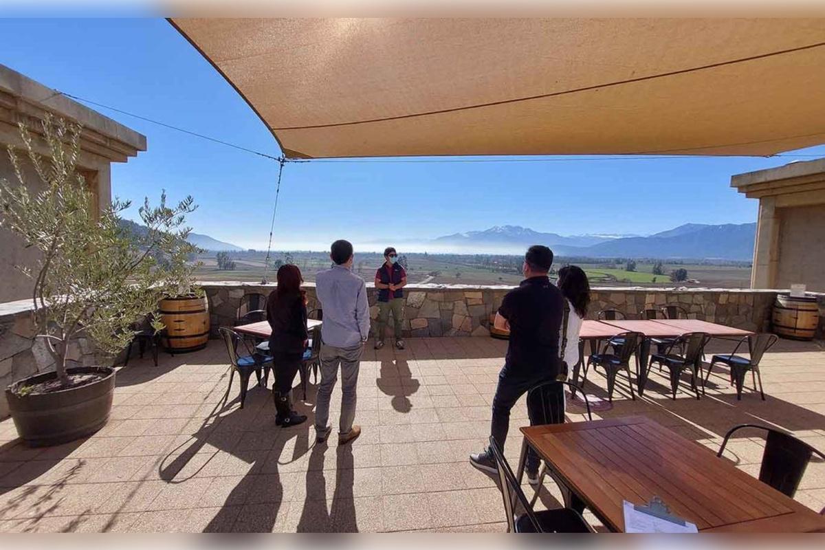Haras de Pirque Vineyard with transfers - Photo 8