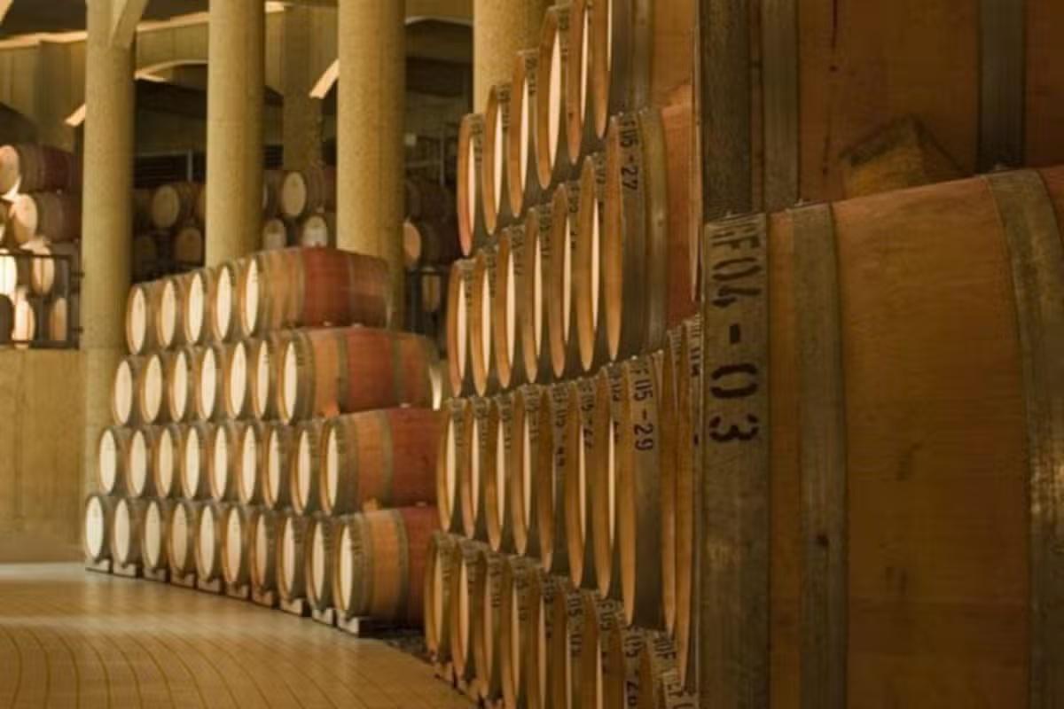 Haras de Pirque Vineyard with transfers - Photo 9