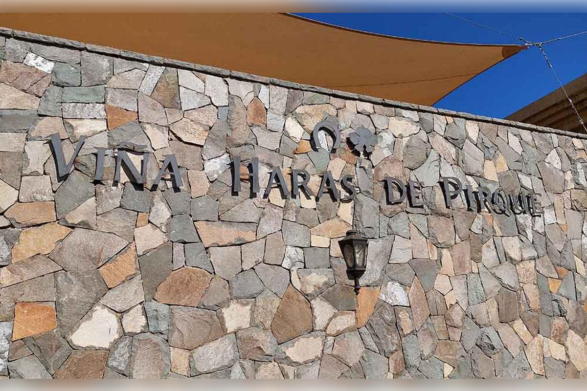 Haras de Pirque Vineyard with transfers - Photo 13