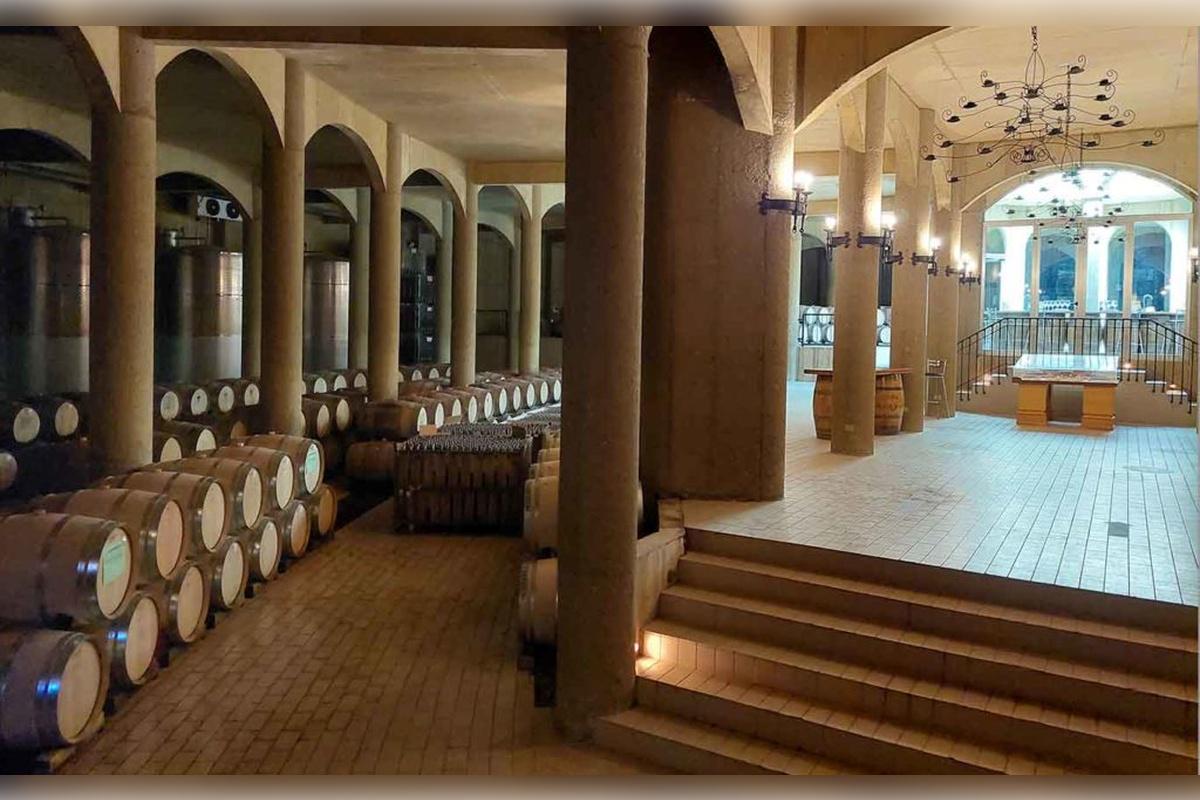Haras de Pirque Vineyard with transfers - Photo 14
