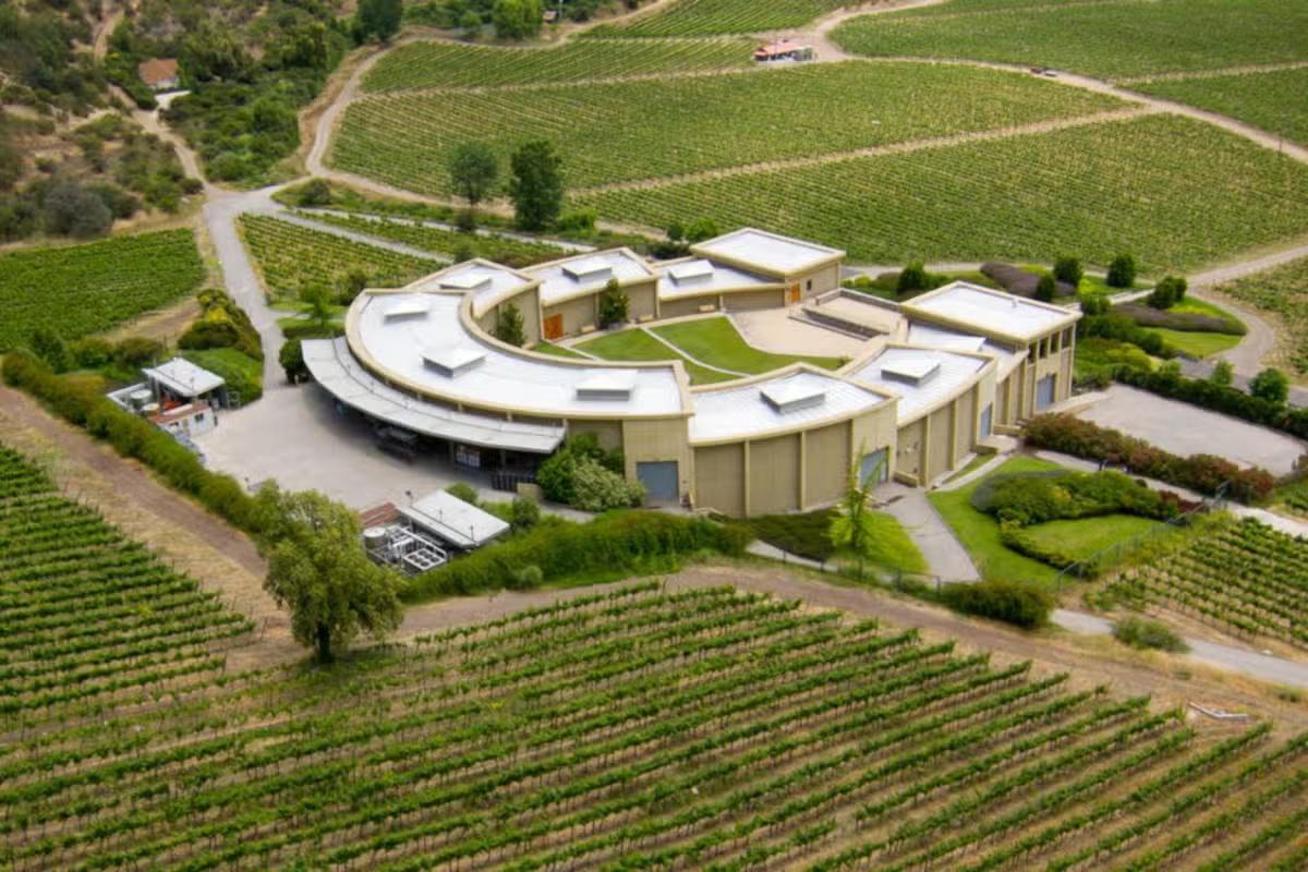 Haras de Pirque Vineyard with transfers - Photo 16