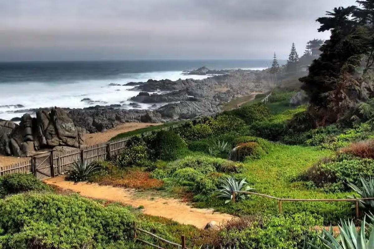 Excursion to Isla Negra, Pomaire and Viña Undurraga - Photo 15