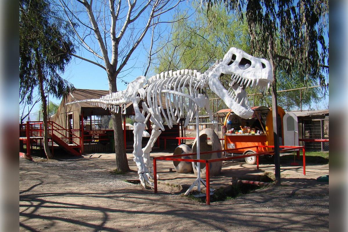 Rancagua Safari Park - Photo 7