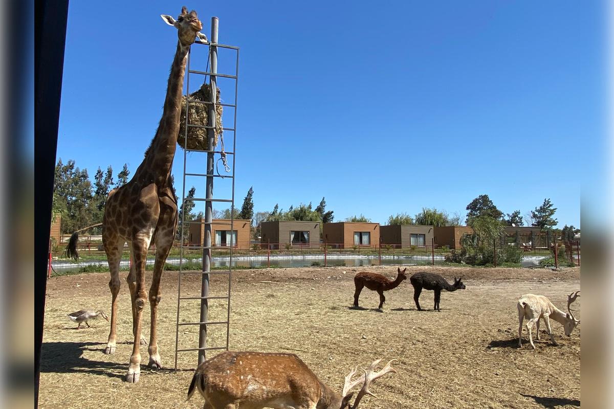Rancagua Safari Park - Photo 23
