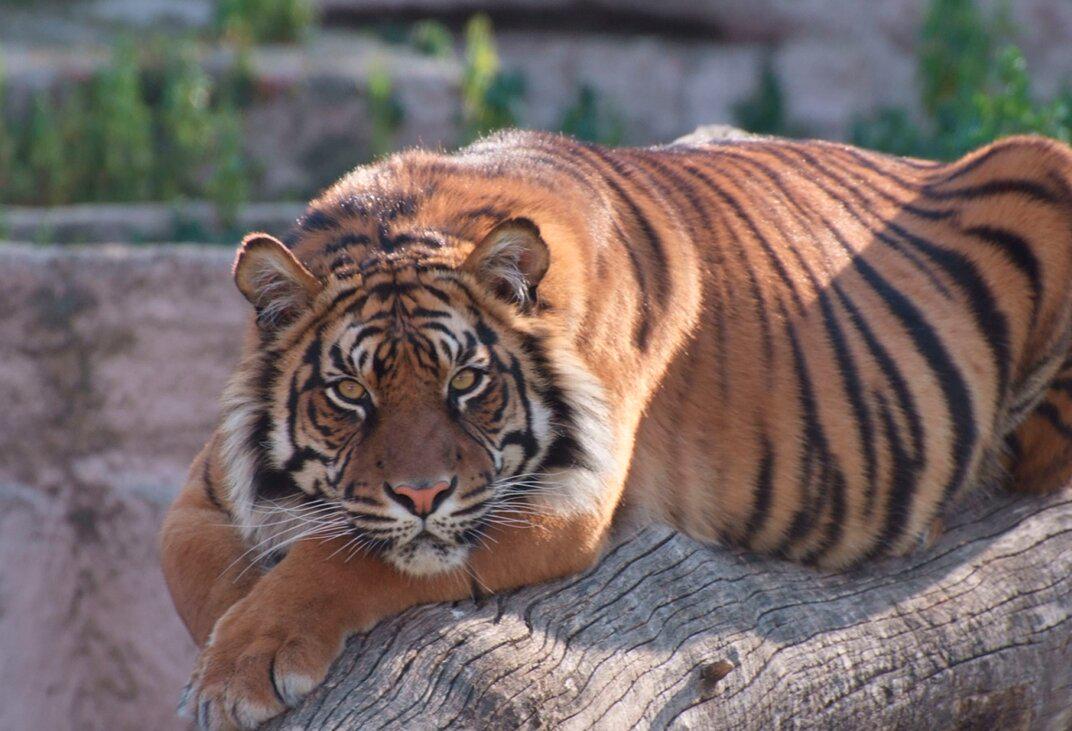 Barcelona Zoo - Photo 4