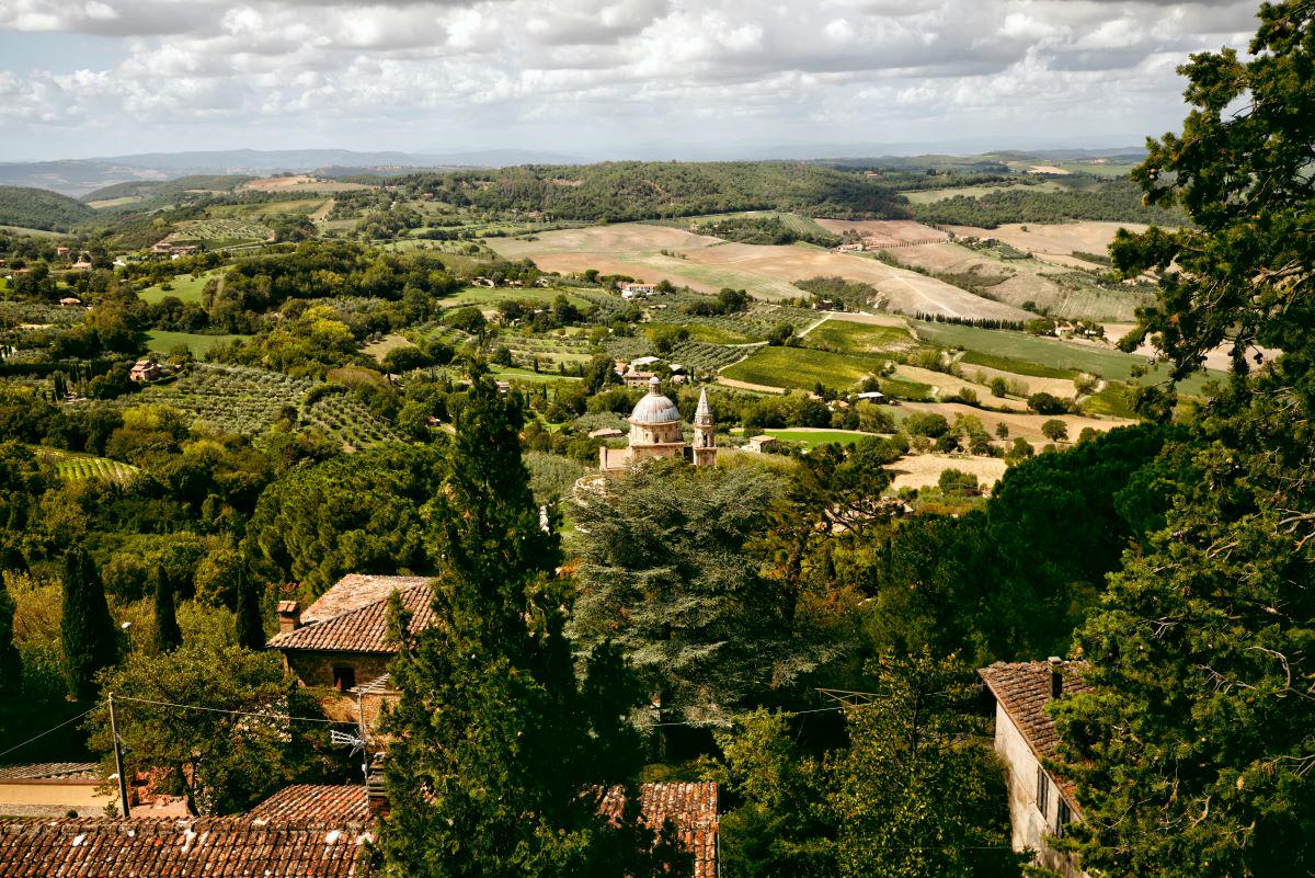 O melhor de Montepulciano, Montalcino e Cortona: excursão para pequenos grupos a partir de Florença - Photo 3