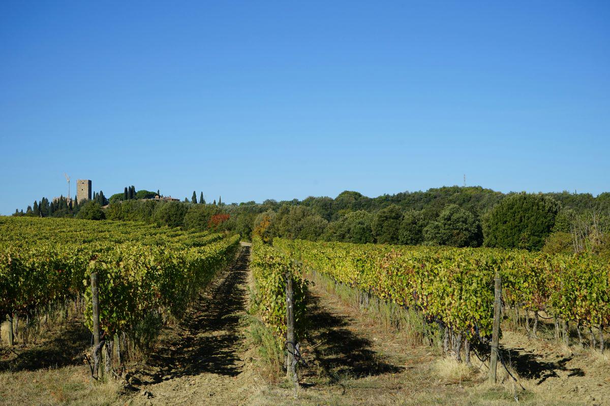 O melhor de Montepulciano, Montalcino e Cortona: excursão para pequenos grupos a partir de Florença - Photo 4