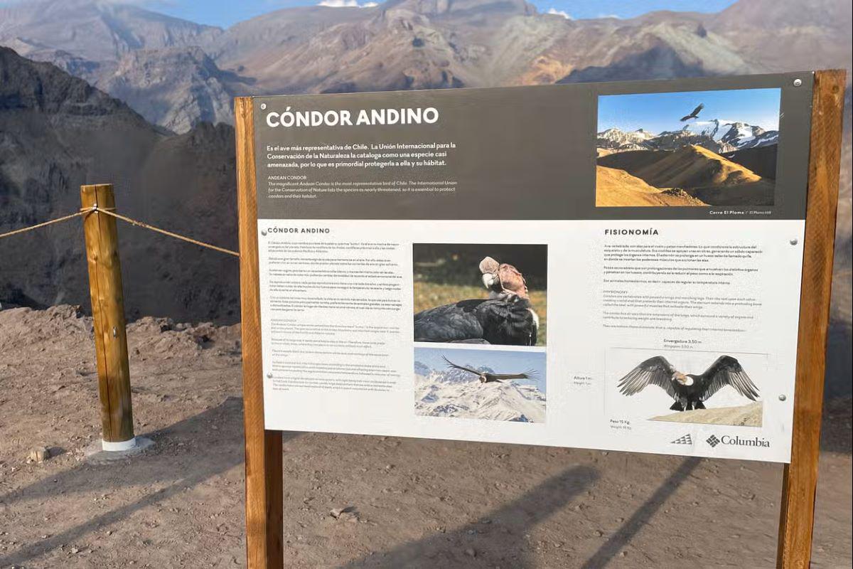 Panoramic tour of the Andes: Valle Nevado, Farellones - Photo 3