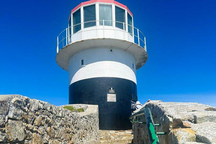 Da Cidade do Cabo Excursão para pequenos grupos com pinguins e focas na Península do Cabo - Photo 6