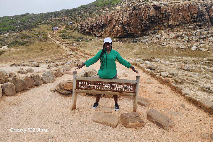 Da Cidade do Cabo Excursão para pequenos grupos com pinguins e focas na Península do Cabo - Photo 10