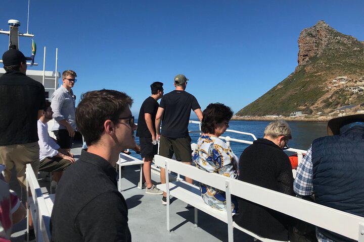 Da Cidade do Cabo Excursão para pequenos grupos com pinguins e focas na Península do Cabo - Photo 18