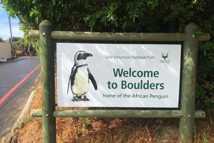 Da Cidade do Cabo Excursão para pequenos grupos com pinguins e focas na Península do Cabo - Photo 21