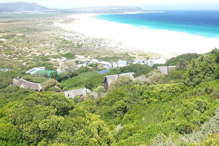 Da Cidade do Cabo Excursão para pequenos grupos com pinguins e focas na Península do Cabo - Photo 24