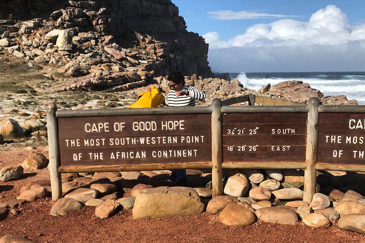 Da Cidade do Cabo Excursão para pequenos grupos com pinguins e focas na Península do Cabo - Photo 31