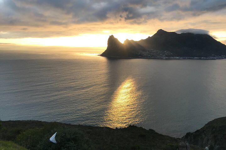Da Cidade do Cabo Excursão para pequenos grupos com pinguins e focas na Península do Cabo - Photo 33