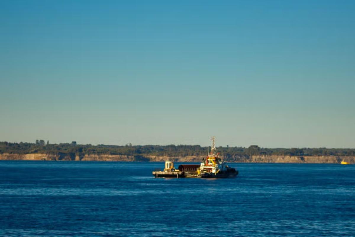 Excursion to Chiloé - Photo 5