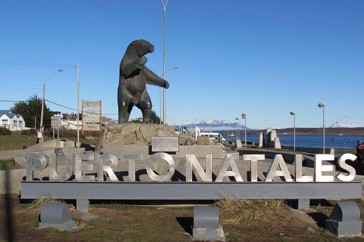 Excursão de dia inteiro a Torres del Paine e Caverna Milodon saindo de Puerto Natales - Photo 12