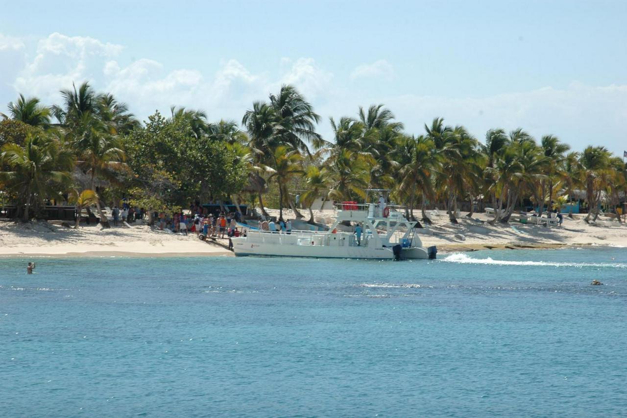 Catalina Snorkeling in Punta Cana - Photo 2