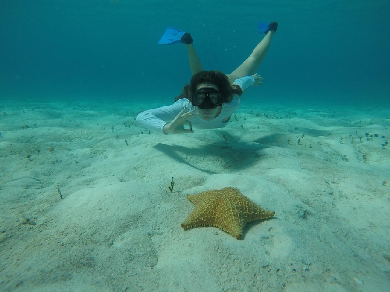 Catalina Snorkeling in Punta Cana - Photo 7