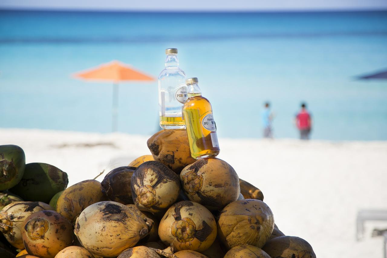 Bimini Day Escape: Travel the Bahamas by Ferry - Photo 8