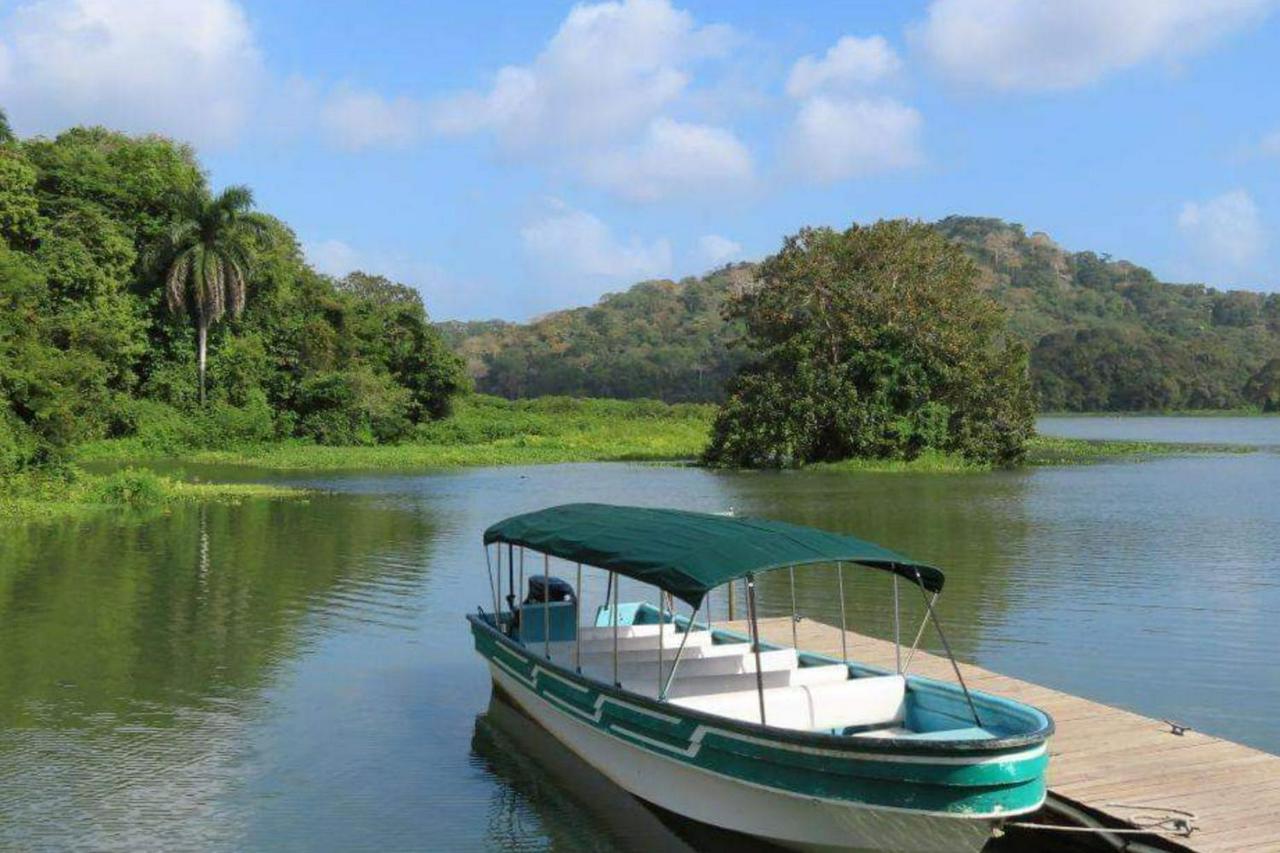 Monkey Island and Gatun Lake Nature Adventure - Photo 4