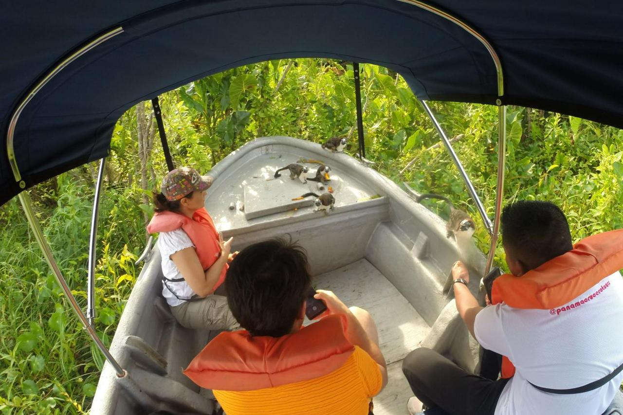 Monkey Island and Gatun Lake Nature Adventure - Photo 6