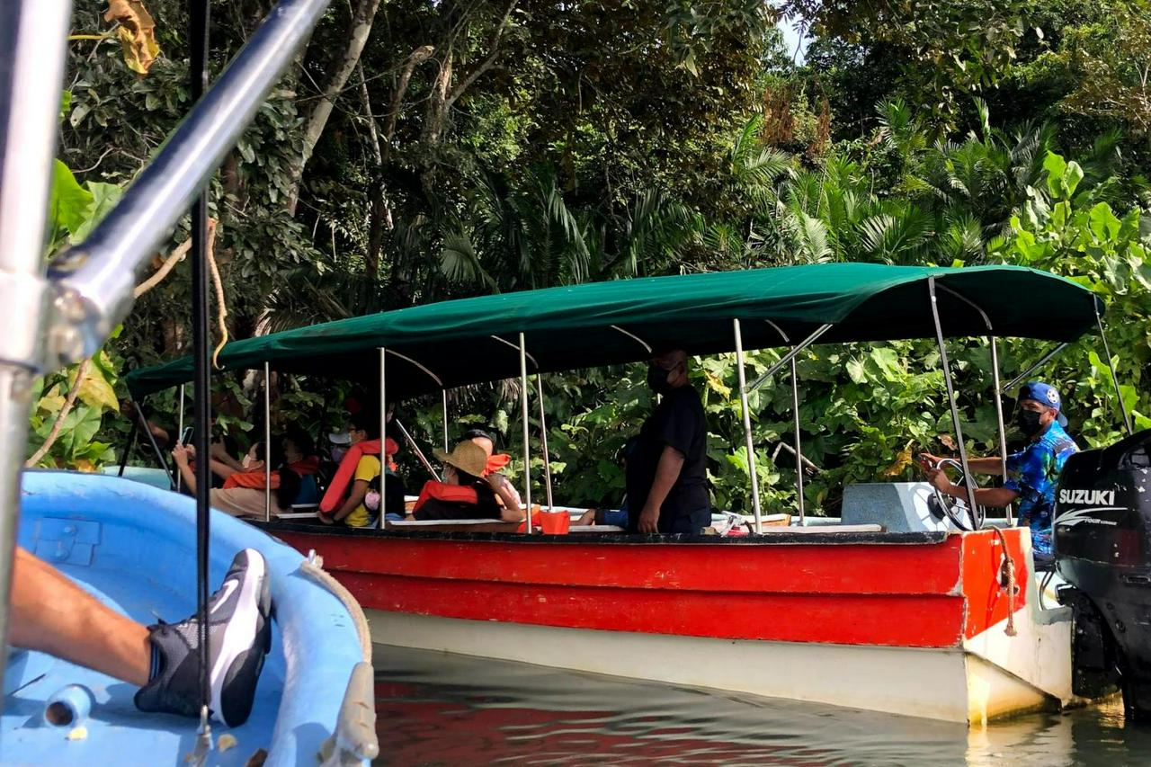 Monkey Island and Gatun Lake Nature Adventure - Photo 9