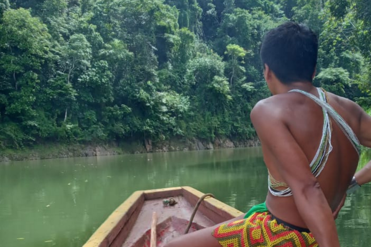 Discover Emberá culture with canoe rides, waterfalls, and traditional experiences. - Photo 8