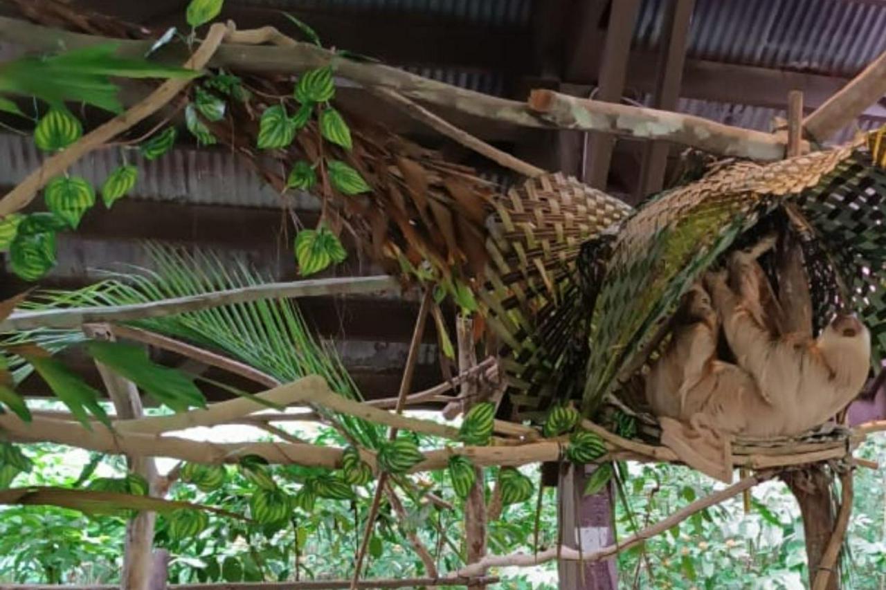 Cruise the Panama Canal and explore Monkey Island and the Sloth Sanctuary - Photo 5