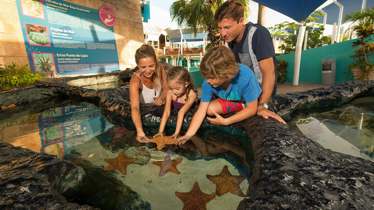 Cancun Interactive Aquarium Ticket - Photo 2