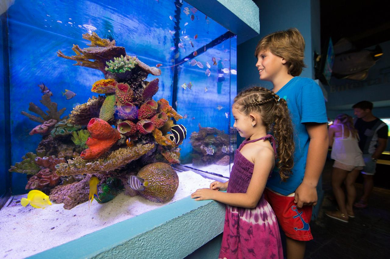 Cancun Interactive Aquarium Ticket - Photo 3