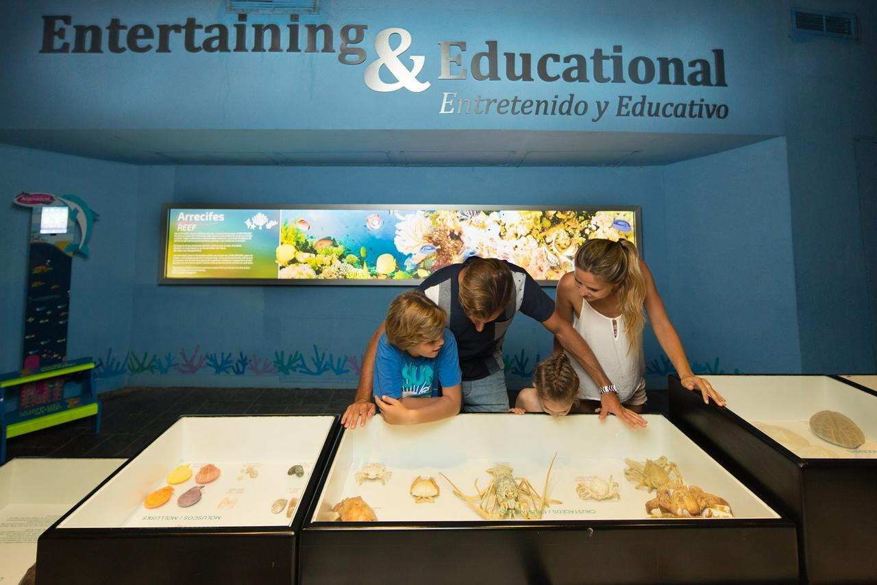 Cancun Interactive Aquarium Ticket - Photo 4