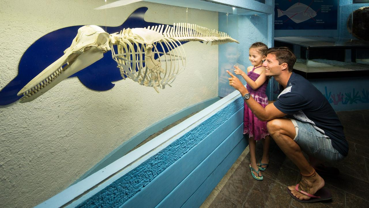 Cancun Interactive Aquarium Ticket - Photo 5