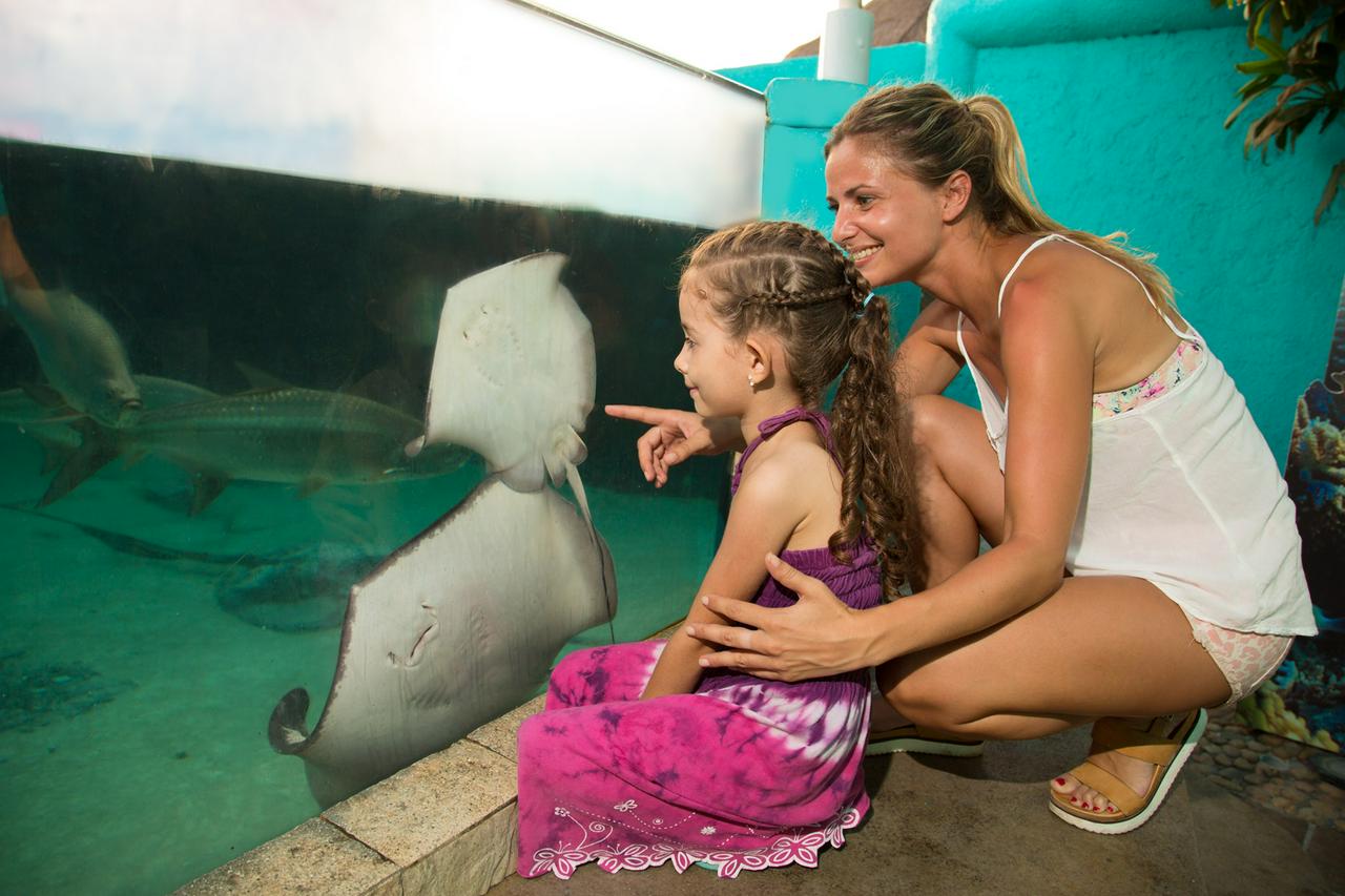 Cancun Interactive Aquarium Ticket - Photo 6