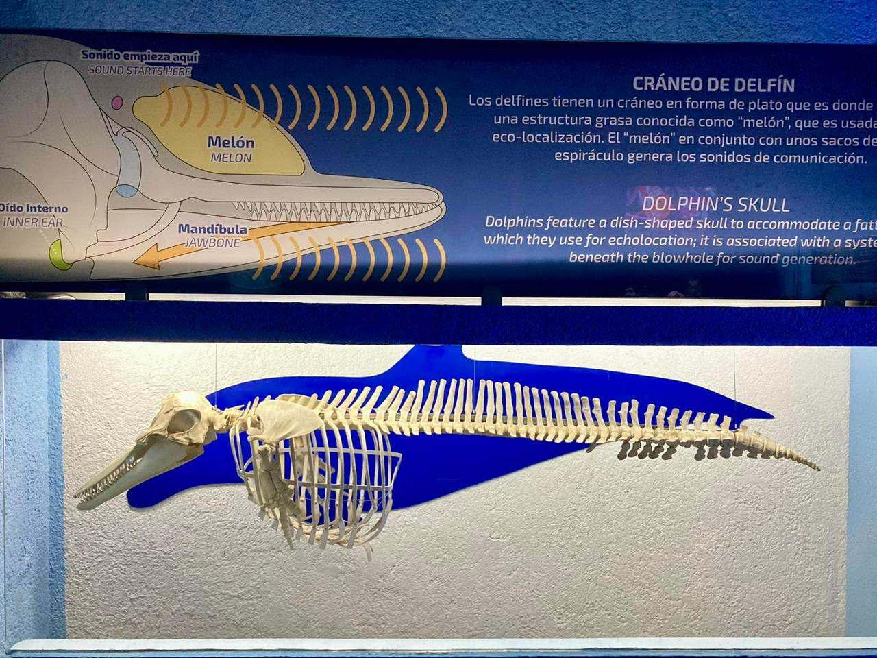 Cancun Interactive Aquarium Ticket - Photo 8
