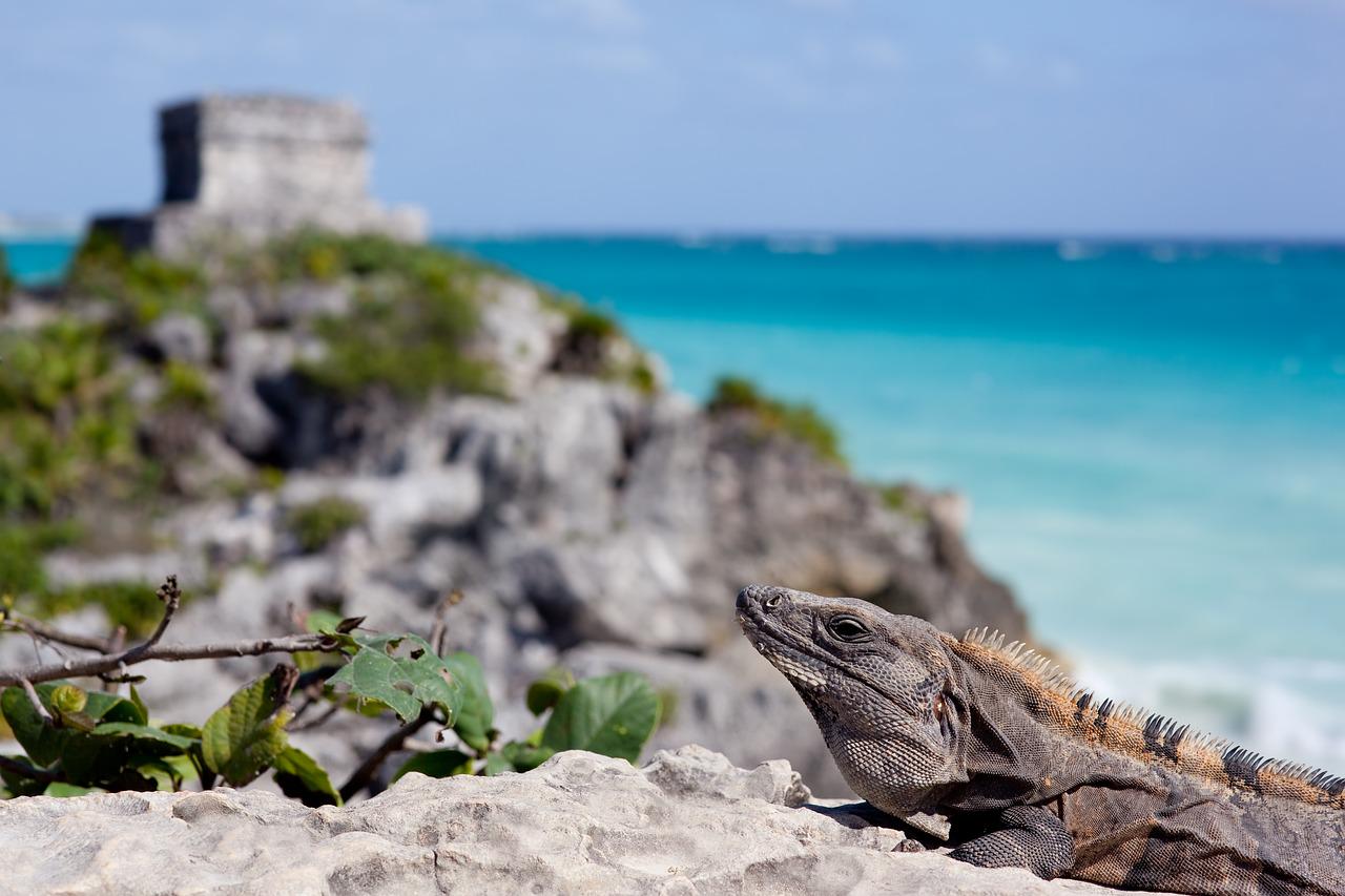 Turnê 3x1: Tulum, Coba e Cenote - Photo 2