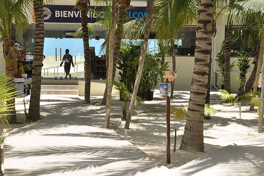 Dolphin Encounter in Playa del Carmen - Photo 3