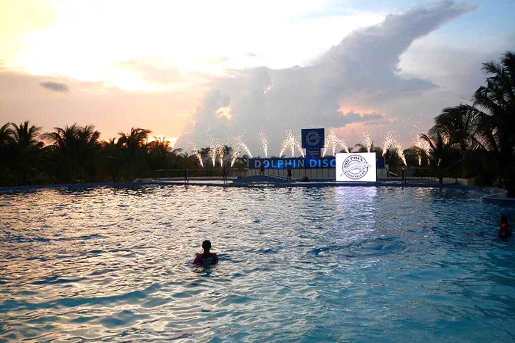 Dolphin Encounter in Playa del Carmen - Photo 5